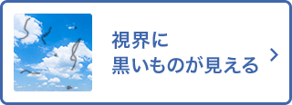 視界に黒いものが見える